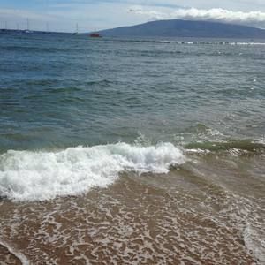 Meet your Posher, Katrina